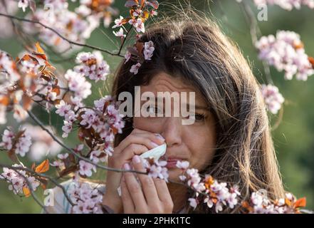 Donna giovane e graziosa che pulisce il naso e che ha sintomi di allergia da polline di albero fiorente in primavera Foto Stock