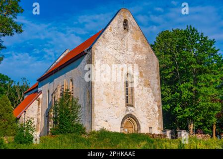 Karja sull'isola di Saaremaa in Estonia. Foto Stock