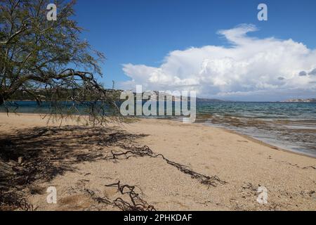 Palau è un comune italiano di 1.177 abitanti della provincia di Sassari, nella regione Sardegna, a nord-ovest di Olbia. Costa rocciosa del mare d'Italia con spiaggia di sabbia blu. Foto Stock