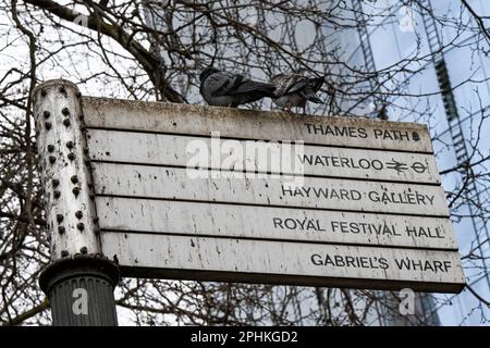Un cartello stradale con un paio di piccioni seduti in cima, Londra, Tamigi, Waterloo, Hayward Gallery, Royal Festival Hall e Gabriel's Wharf Foto Stock