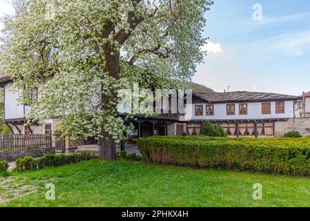 Daskalov casa museo a Tryavna, Bulgaria. Foto Stock