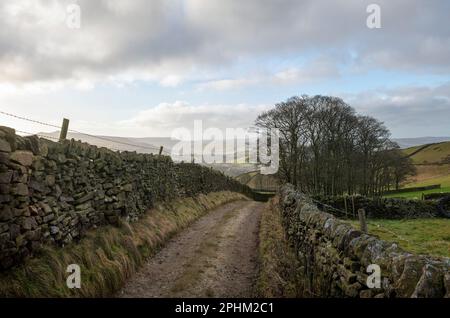 Una corsia di campagna nel Peak District Inglese vicino a Chinley. La testa passò una cimosa di alberi e fiancheggiata da muri a secco in una giornata invernale Foto Stock