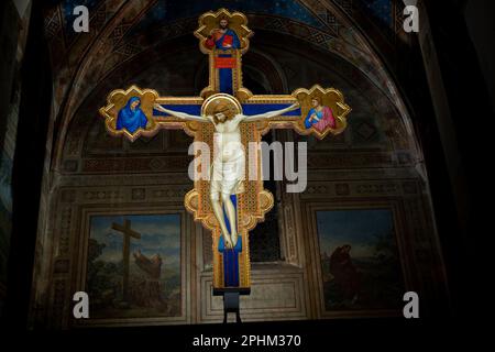 Crocifisso di Giotto in Chiesa di San Salvatore a Ognissanti, Firenze Foto Stock