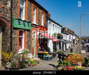 Main Street Moira, County Down, Irlanda del Nord Foto Stock