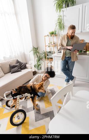Donna afro-americana spensierata accarezzare il cane disabili mentre il ragazzo utilizza il laptop a casa, immagine stock Foto Stock