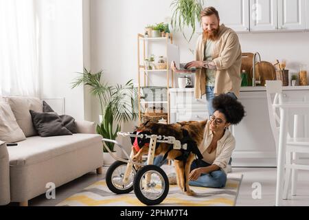 Barbuto uomo che utilizza laptop vicino ragazza afroamericana con cane disabili a casa, immagine stock Foto Stock