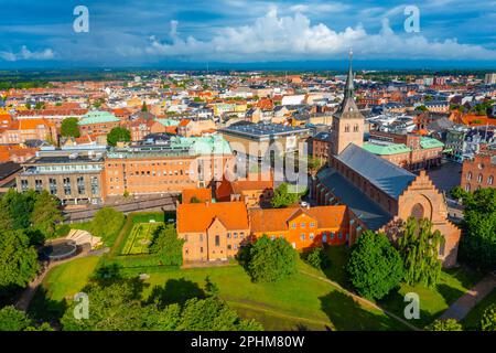 Vista panoramica di St. Cattedrale di Canute nella città danese Odense. Foto Stock