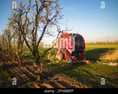 Busseto, Italia - Marzo 2023 trolley di irrigazione a mulinello con zoccoli vicino ad un campo fertile irrigato con aglio verde Foto Stock