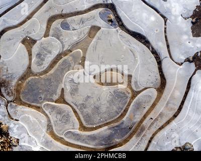 La bellezza è intorno a noi. Ma a volte dovete guardare in giù. Un recente periodo sostenuto di temperature subzero ha portato a stagni ghiacciati e pozze attraverso Foto Stock