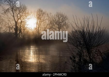 Un'alba invernale misteriosa e sorprendentemente bella scoppia da dietro gli alberi sulle rive del Tamigi da Radley College Boathouse. Solo beauti Foto Stock