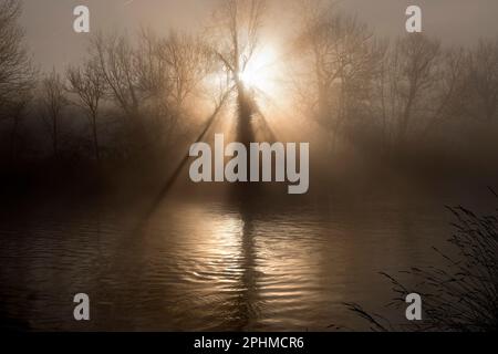 Un'alba invernale misteriosa e sorprendentemente bella scoppia da dietro gli alberi sulle rive del Tamigi da Radley College Boathouse. Solo beauti Foto Stock