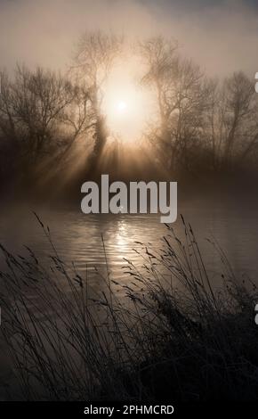 Un'alba invernale misteriosa e sorprendentemente bella scoppia da dietro gli alberi sulle rive del Tamigi da Radley College Boathouse. Solo beauti Foto Stock