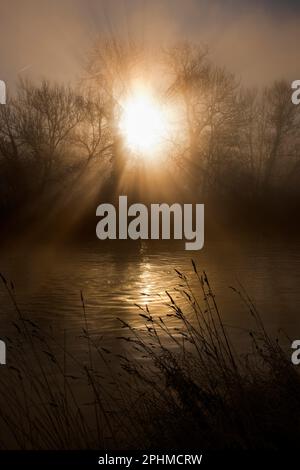 Un'alba invernale misteriosa e sorprendentemente bella scoppia da dietro gli alberi sulle rive del Tamigi da Radley College Boathouse. Solo beauti Foto Stock