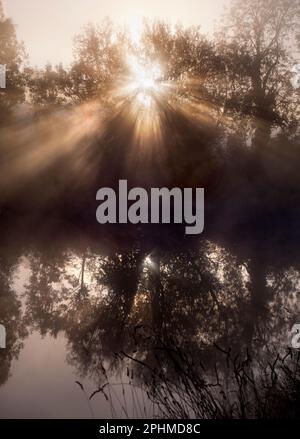 Un autunno misteriosa ma un'alba incredibilmente bella scoppia dietro gli alberi sulle rive del Tamigi da Radley College Boathouse. Semplicemente bellissimo. Foto Stock