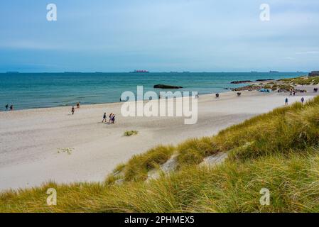 Grenen è il punto più settentrionale della Danimarca e la punta di Skagens Odde. Foto Stock