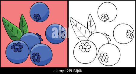 Frutti di mirtillo colorazione pagina Illustrazione colorata Illustrazione Vettoriale