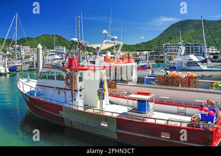 La pesca in barca in porto Picton Queen Charlotte Sound, Marlborough Sounds, regione di Marlborough, Isola del Sud, Nuova Zelanda Foto Stock