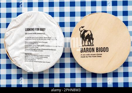 Barone Bigod formaggio prodotto in Suffolk da Fen Farm Dairy Foto Stock