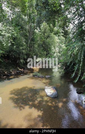 Vista verticale di un fiume tributario dello Sri Lanka con una piccola quantità di acqua che scorre e rivela grandi pietre sul letto del fiume Foto Stock