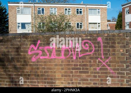 Iver Heath, Buckinghamshire, Regno Unito. 27th marzo, 2023. Graffiti su un muro a Iver Heath, Buckinghamshire. Nel tentativo di ridurre ulteriormente il comportamento antisociale, il governo ha annunciato nuove misure per punire gli artisti graffiti e coloro che causano comportamenti antisociale. Credito: Maureen McLean/Alamy Foto Stock