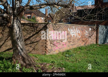 Iver Heath, Buckinghamshire, Regno Unito. 27th marzo, 2023. Graffiti su un muro a Iver Heath, Buckinghamshire. Nel tentativo di ridurre ulteriormente il comportamento antisociale, il governo ha annunciato nuove misure per punire gli artisti graffiti e coloro che causano comportamenti antisociale. Credito: Maureen McLean/Alamy Foto Stock
