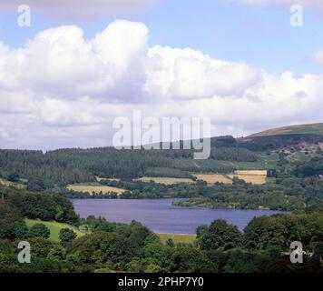 Regno Unito. Inghilterra. Devon. Serbatoio Burrator sul bordo di Dartmoor. Foto Stock