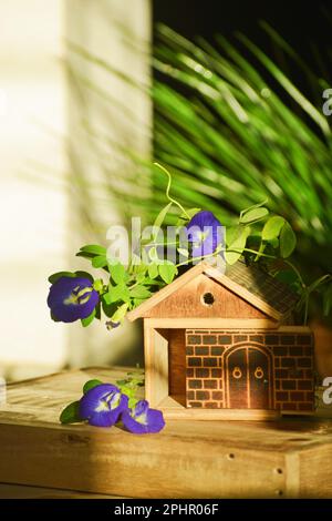 Dolce casa con fiore. Foto Stock