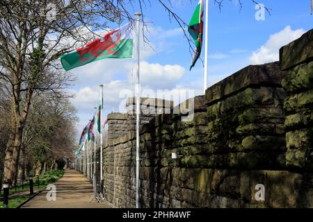 Mura del castello di Cardiff e passerella con bandiere gallesi e bandiera unionista di fila. Marzo 2023. Primavera. Foto Stock