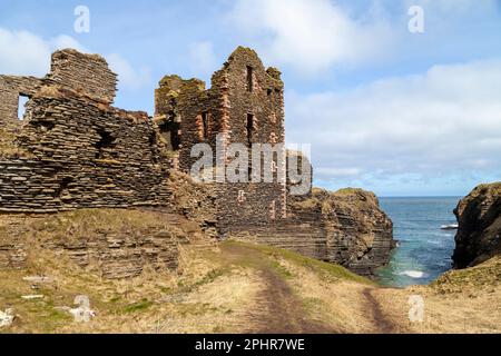 Castello Sinclair Girnigoe si trova a circa 3 miglia a nord di Wick sulla costa orientale di Caithness, Scozia Foto Stock