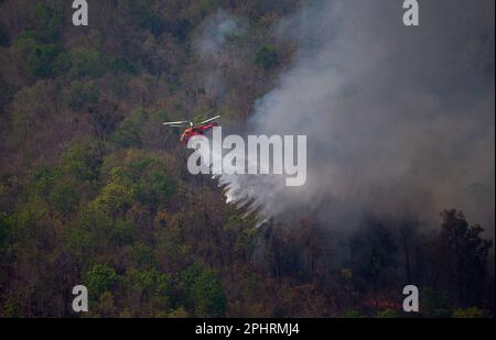 Un elicottero antincendio KA-32 del Dipartimento tailandese di prevenzione e mitigazione delle catastrofi (DDPM) fa cadere l'acqua per spegnere l'incendio della foresta presso la National Reserved Forest Group9. Foto Stock