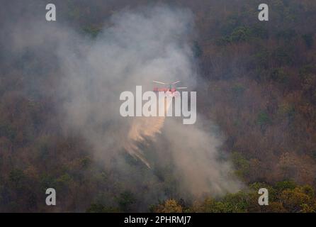 Un elicottero antincendio KA-32 del Dipartimento tailandese di prevenzione e mitigazione delle catastrofi (DDPM) fa cadere l'acqua per spegnere l'incendio della foresta presso la National Reserved Forest Group9. Foto Stock