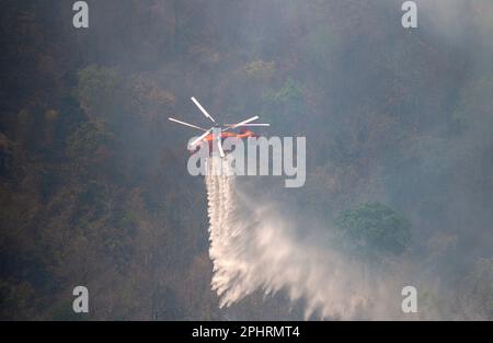 Un elicottero antincendio KA-32 del Dipartimento tailandese di prevenzione e mitigazione delle catastrofi (DDPM) fa cadere l'acqua per spegnere l'incendio della foresta presso la National Reserved Forest Group9. Foto Stock