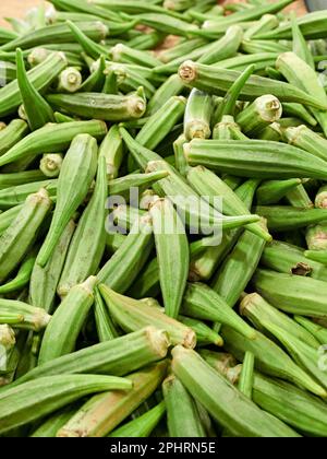 Okra fresco, Abelmoschus esculentus, una verdura del sud, in semi in un bidone in un mercato agricolo a Montgomery Alabama, USA. Foto Stock