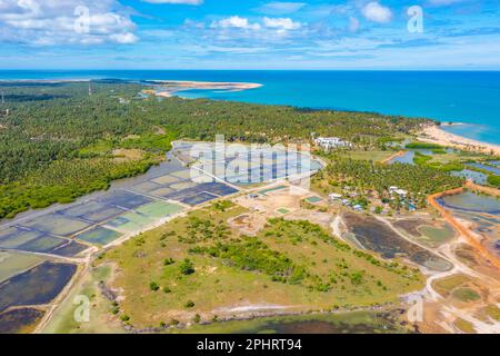Veduta aerea dei campi agricoli trascurati dalle turbine eoliche a Kalpitiya in Sri Lanka. Foto Stock