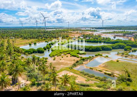 Veduta aerea dei campi agricoli trascurati dalle turbine eoliche a Kalpitiya in Sri Lanka. Foto Stock
