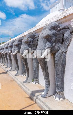 Statue di elefanti a Ruwanweli Maha Seya stupa costruito in Anuradhapura, Sri Lanka. Foto Stock