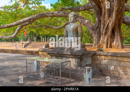 Statua di Buddha ad abhayagiri dagoba ad Anuradhapura in Sri Lanka. Foto Stock