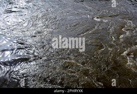 Acque di alluvione sul fiume Neosho, noto anche come Grand River, a Fort Gibson, Oklahoma, Stati Uniti, STATI UNITI, STATI UNITI. Foto Stock