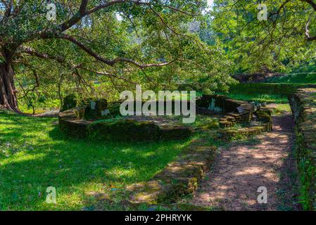 Rovine del palazzo nissanka malla a polonnaruwa, Sri Lanka. Foto Stock