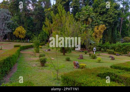 Giardino botanico reale a Kandy, Sri Lanka. Foto Stock