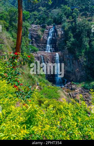 Ramboda cade vicino a Nuwara Eliya, Sri Lanka. Foto Stock