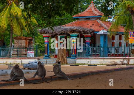 Kataragama rappresenta un importante luogo di pellegrinaggio in Sri Lanka, importante per buddisti, induisti, musulmani e Vedda. Foto Stock