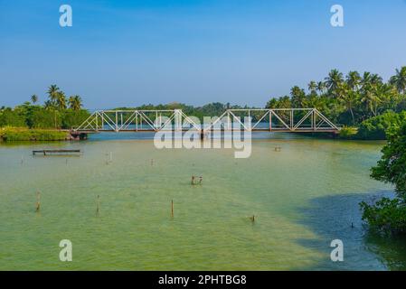 Treno che attraversa la laguna di Koggala su un ponte, Sri Lanka. Foto Stock