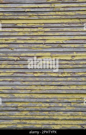 Legno di vecchio edificio che sbuccia la vernice gialla Foto Stock
