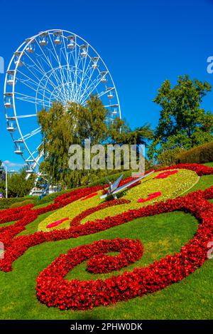 Orologio a fiori nella città svizzera Ginevra. Foto Stock