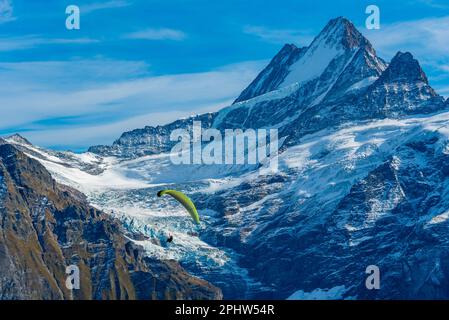 Parapendio sul monte Wetterhorn in Svizzera. Foto Stock