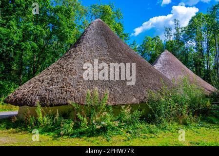 Bryn Eryr a St. Fagans Museo Nazionale di Storia. Foto Stock