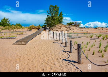 Dune di sabbia alla spiaggia di Yyteri in Finlandia. Foto Stock