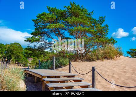 Dune di sabbia alla spiaggia di Yyteri in Finlandia. Foto Stock