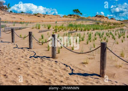 Dune di sabbia alla spiaggia di Yyteri in Finlandia. Foto Stock